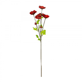 Flor Helebora Roja | Flores | decoracion