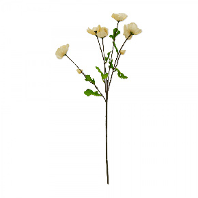 Flor Helebora Blanca | Flores | decoracion