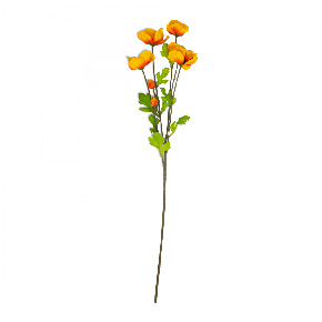 Flor Helebora Naranja | Flores | decoracion