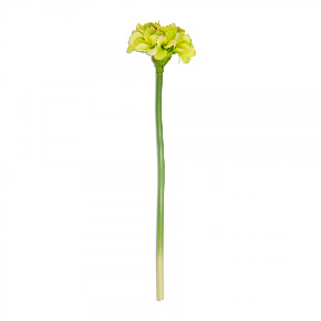 Flor Amaryllis Tallo Verde | Flores | decoracion