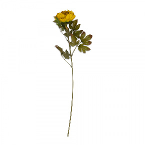 Flor Peonia OtoÑal Ch Amarilla | Flores | Recámaras