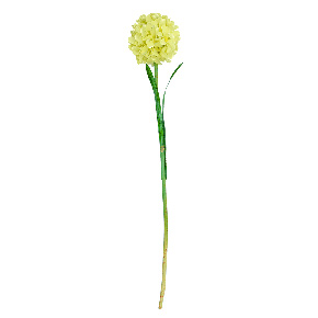 Flor Jacinto Sencilla Verde | Flores | decoracion