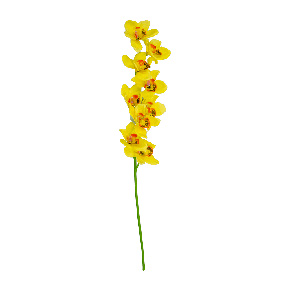 Ramillete Orquidea Amarilla | Flores | decoracion
